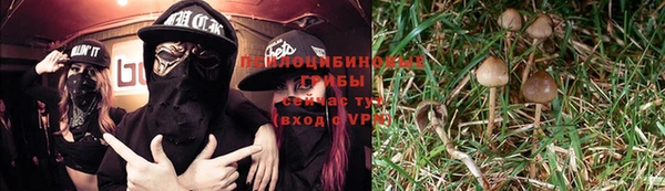 ешки Балахна
