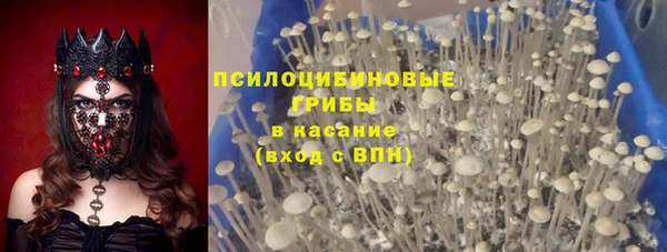 ешки Балахна