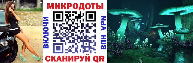 купить закладку  Юрьевец  Псилоцибиновые грибы GOLDEN TEACHER 